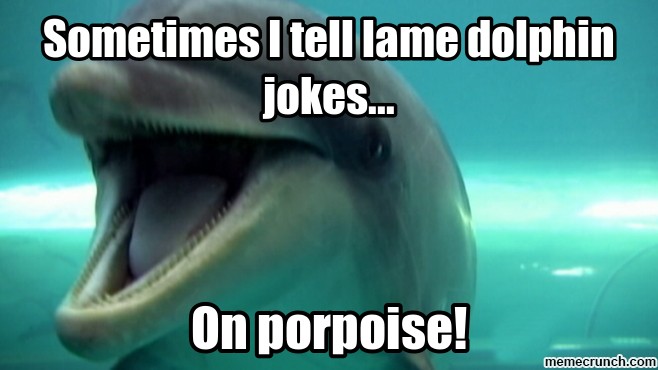 Dolphin Joke 1